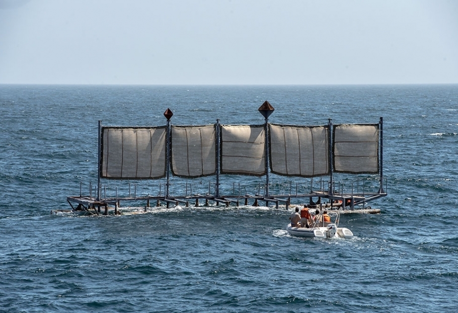 Military seamen perform next episode of “Sea Cup” contest