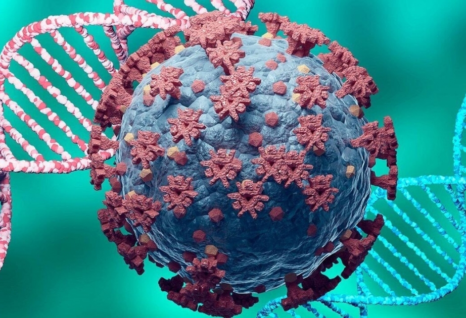 Coronavirus in Aserbaidschan: 710 Neuinfektionen, 503 am Mittwoch