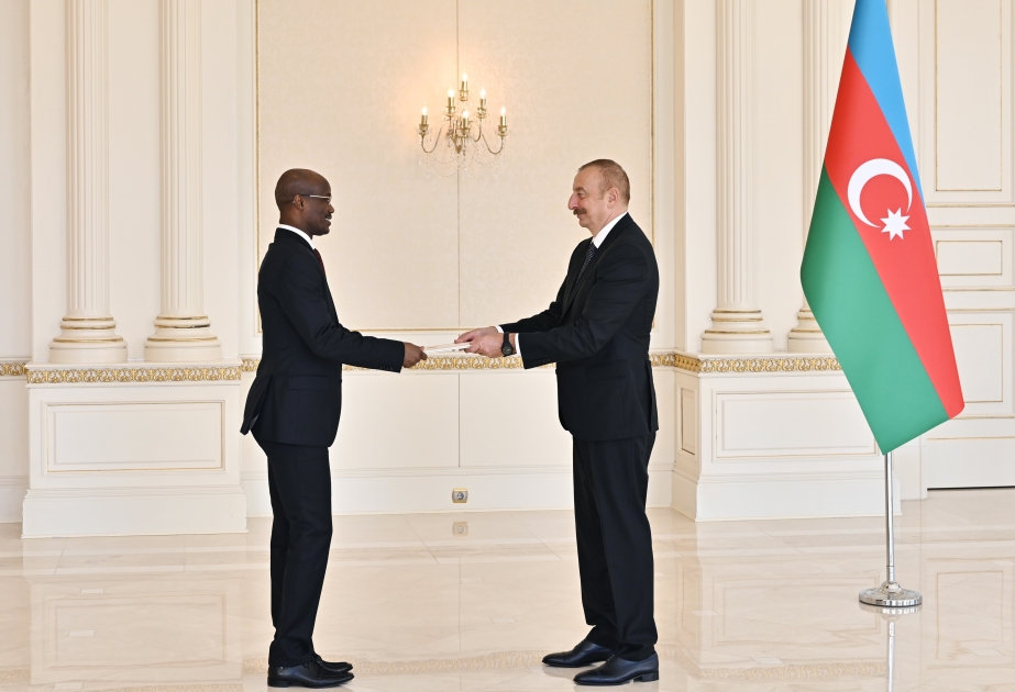 President Ilham Aliyev received credentials of incoming ambassador of Chad VIDEO