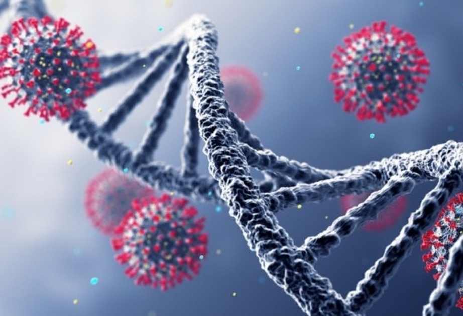 Coronavirus: Aserbaidschan meldet 545 neue Fälle