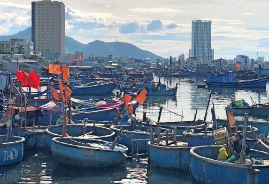 Chinesische Küstenstadt Xiamen testet Fische auf Corona