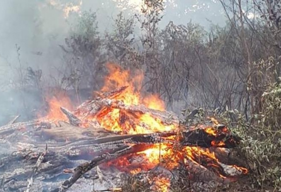Ovçuluq Təsərrüfatında yanğın hadisəsi baş verib