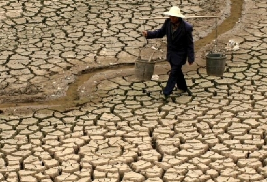 China renews orange alert for high temperatures