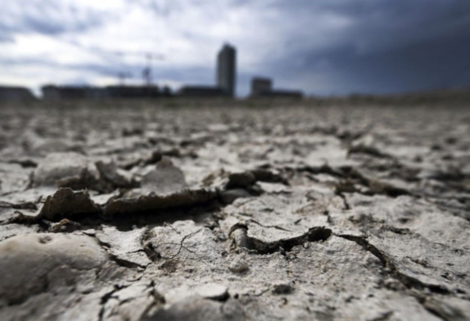 أوروبا تواجه أقوى موجة جفاف على مدى 500 عام الماضية