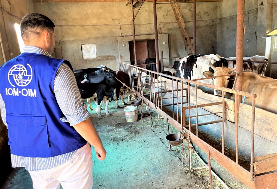 IOM Azerbaijan provides cash and in-kind reintegration assistance to 274 returnees during first half of 2022