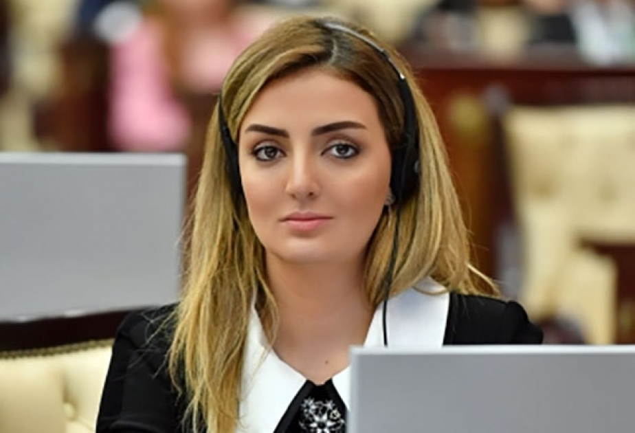 Azərbaycan türkdilli ölkələr arasında inteqrasiyanın genişlənməsində uğurlu körpü rolunu oynayır