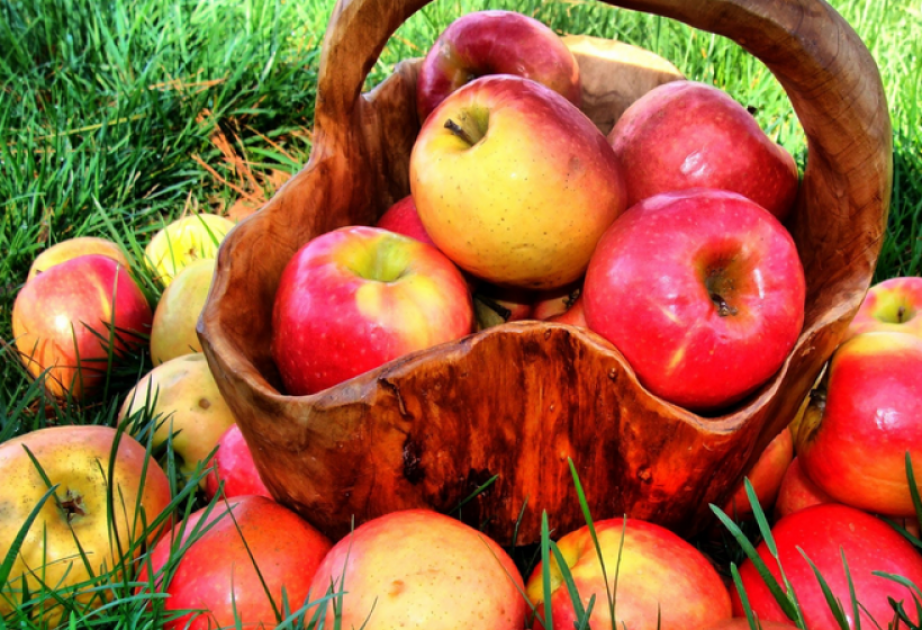 Azerbaïdjan : les exportations de pommes ont régressé