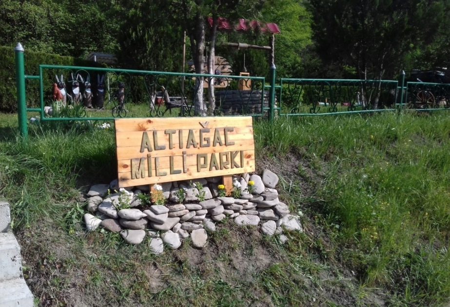 Avqustun 31-də Altıağac Milli Parkında “Açıq qapı” günü keçiriləcək