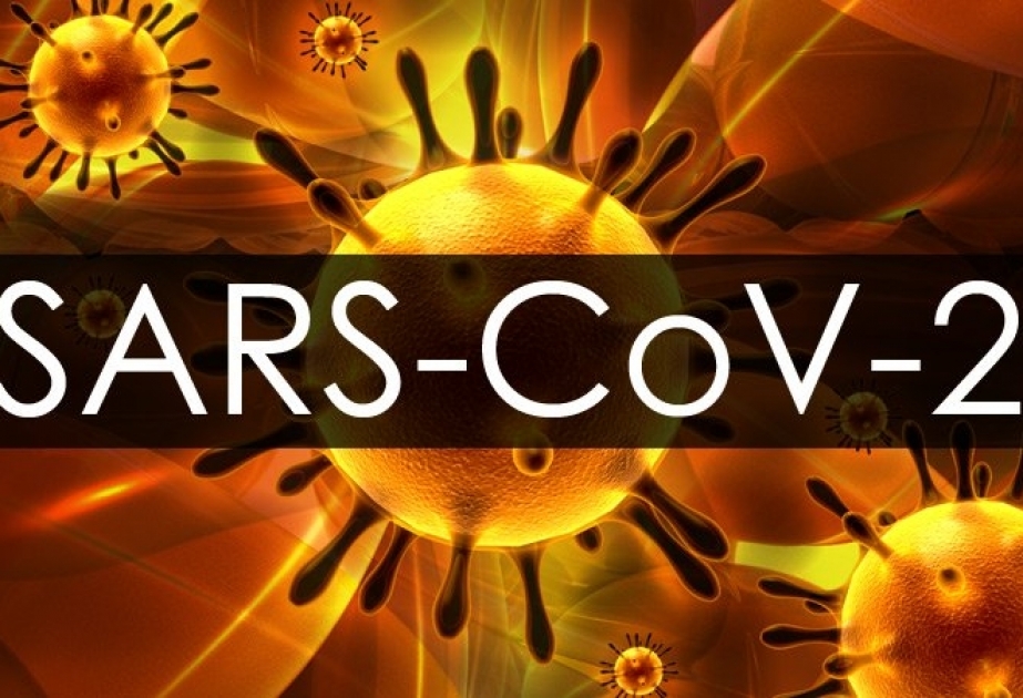 Китайские исследователи разработали наноматериал против SARS-CoV-2