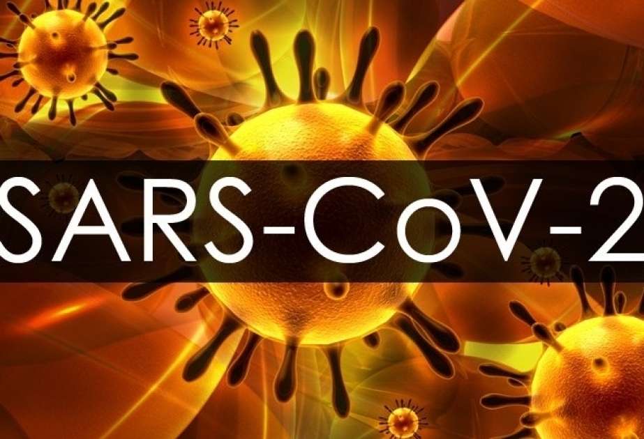 Chinese researchers develop anti-SARS-CoV-2 nanomaterial