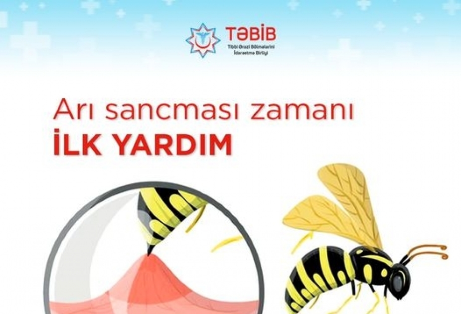 Arı sancması zamanı ilk yardım tez edilərsə, ağrı daha az, sağalma isə daha sürətli olar