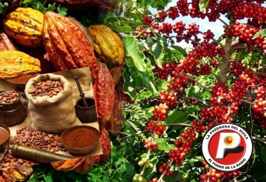 Посольство Колумбии приглашает азербайджанских бизнесменов принять участие в Международной выставке кофе, какао и агротуризма