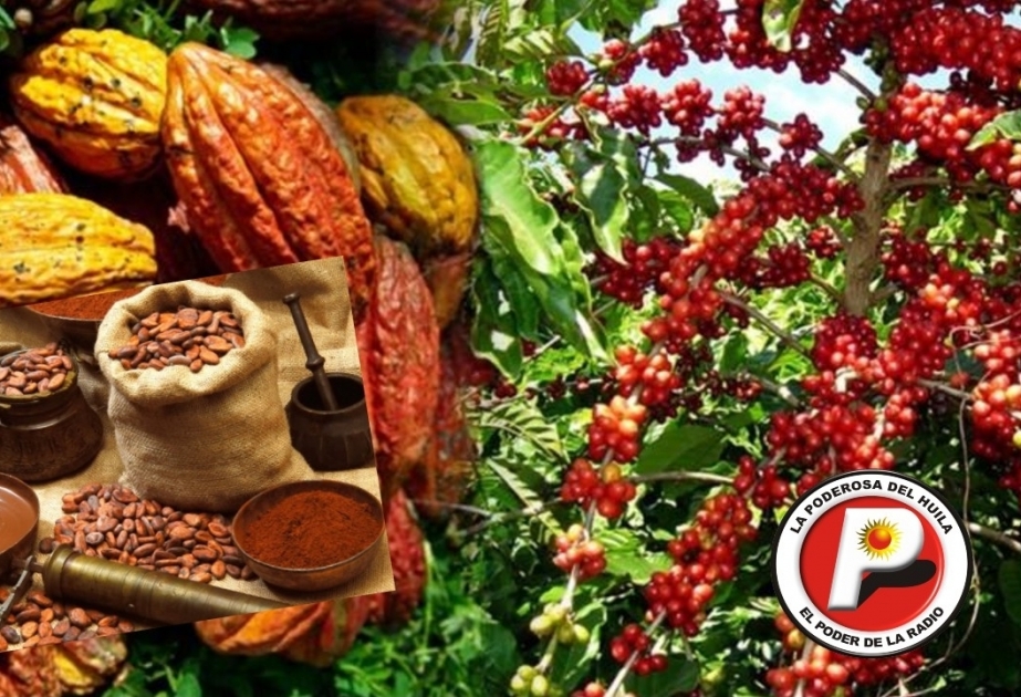 Embassy of Colombia invites Azerbaijani businessmen to participate in “Second International Coffee, Cocoa and Agrotourism” exhibition