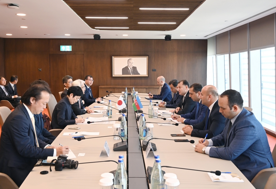 Azerbaiyán y Japón abordan el fomento de la cooperación económica