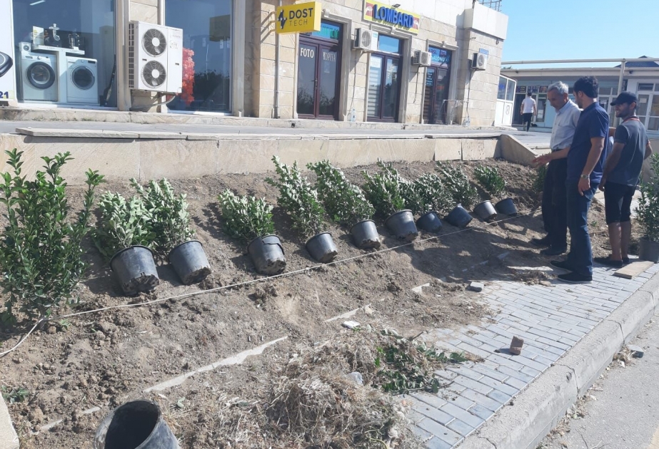 Buzovna qəsəbəsində iməcilik zamanı təmizlik və abadlıq işləri aparılıb