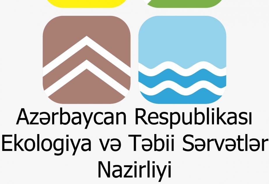 Yanğına məruz qalmış ərazilərin bərpası məqsədilə proqram hazırlanır