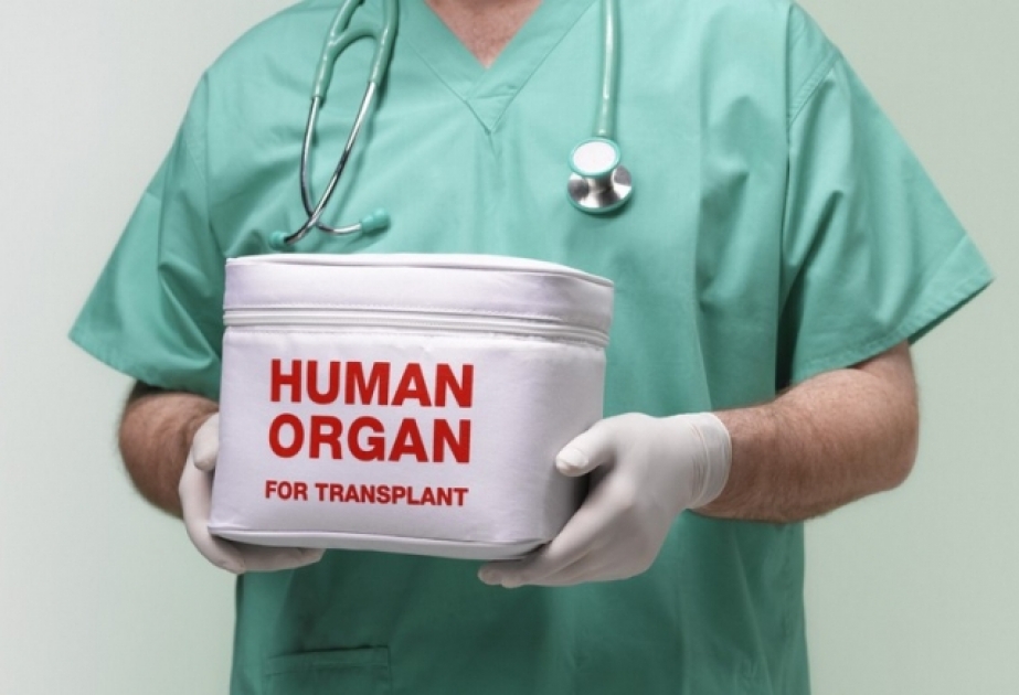 Transplantasiya məqsədilə donor orqanların idxalı və ixracı Qaydası təsdiqlənib