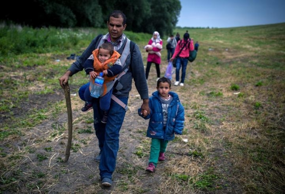 Неконтролируемый приток мигрантов в ЕС не прекращается