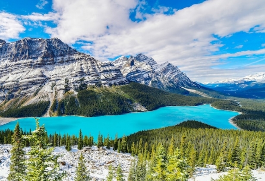 Peyto Lake – majestic glacial lake in Banff National Park of Canada