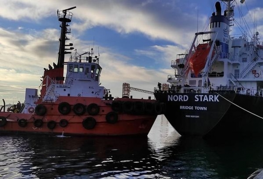 Nine more grain ships leave Ukraine under Istanbul deal: Turkiye