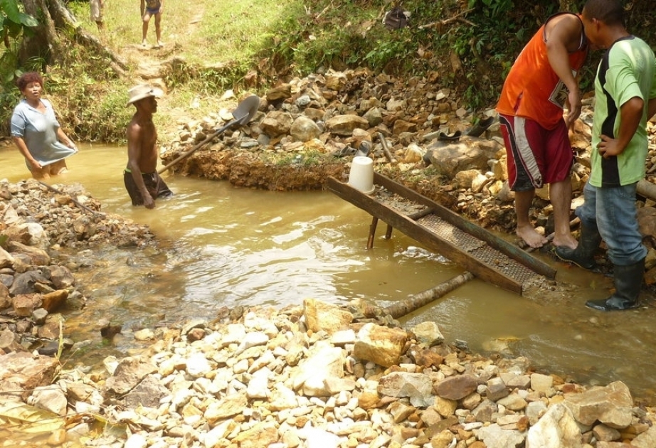 Qeyri-qanuni qızıl hasilatı Kolumbiyanın ekosistemini məhv edir
