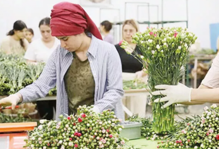 Turkish growers shipping 1.5M carnations for Queen Elizabeth’s funeral