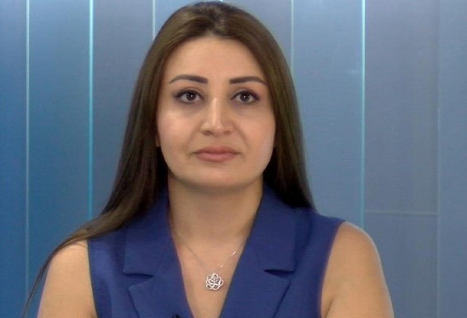 Politoloq: Son təxribatlar Azərbaycan sərhədinə yaxın ərazidə təhlükəsiz bölgənin yaradılmasını şərtləndirir