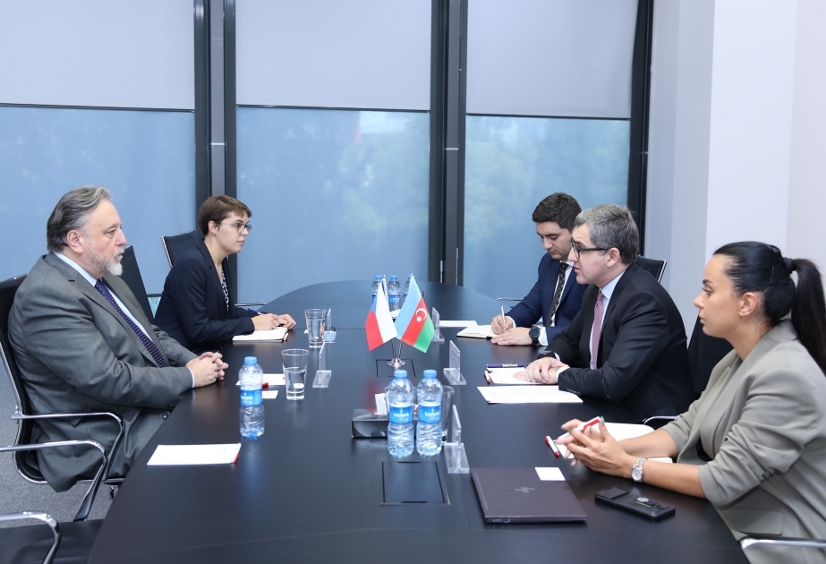 Azerbaijan, Czech Republic discuss boosting mutual exports