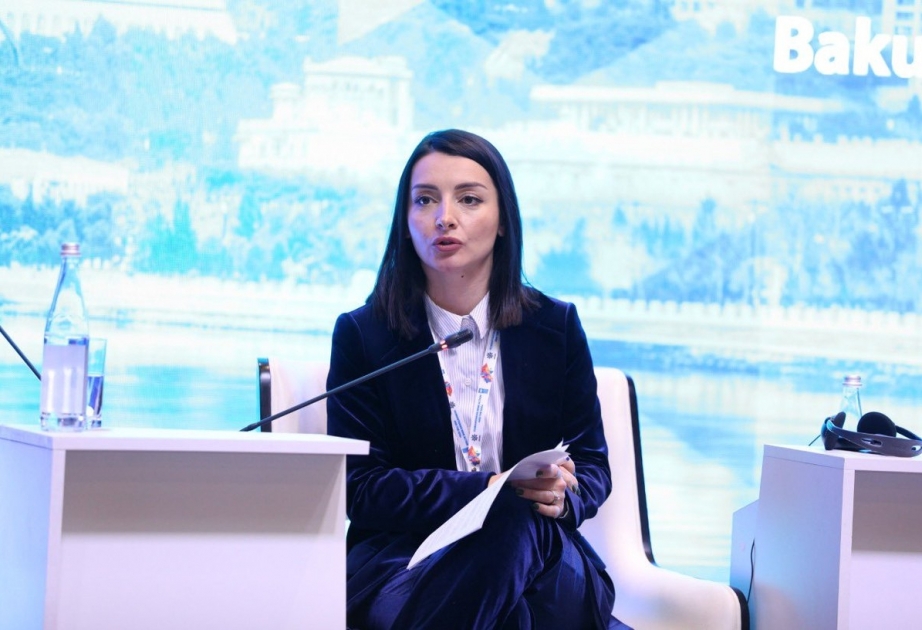 Leyla Abdullayeva: Hindistan XİN-in bölgədəki gərginliklə bağlı açıqlamasında təcavüzkarın kim olduğu bəlli deyil
