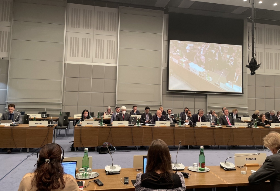 Los participantes en el Consejo Permanente de la OSCE son informados de la provocación militar armenia en la frontera estatal