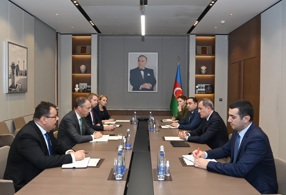 Canciller de Azerbaiyán informa al Enviado especial de la UE sobre las provocaciones de Armenia