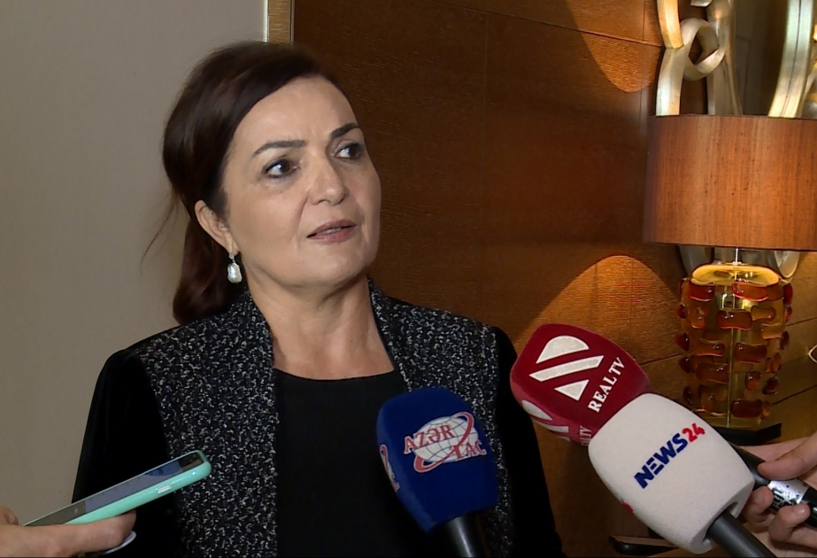 Aygün Attar: Azərbaycan Ermənistanla sərhədlərin təhlükəsizliyini təmin etmək üçün səy göstərir