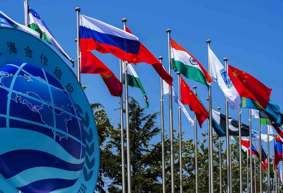 Shanghai Cooperation Organization- a strong pillar of global peace and development