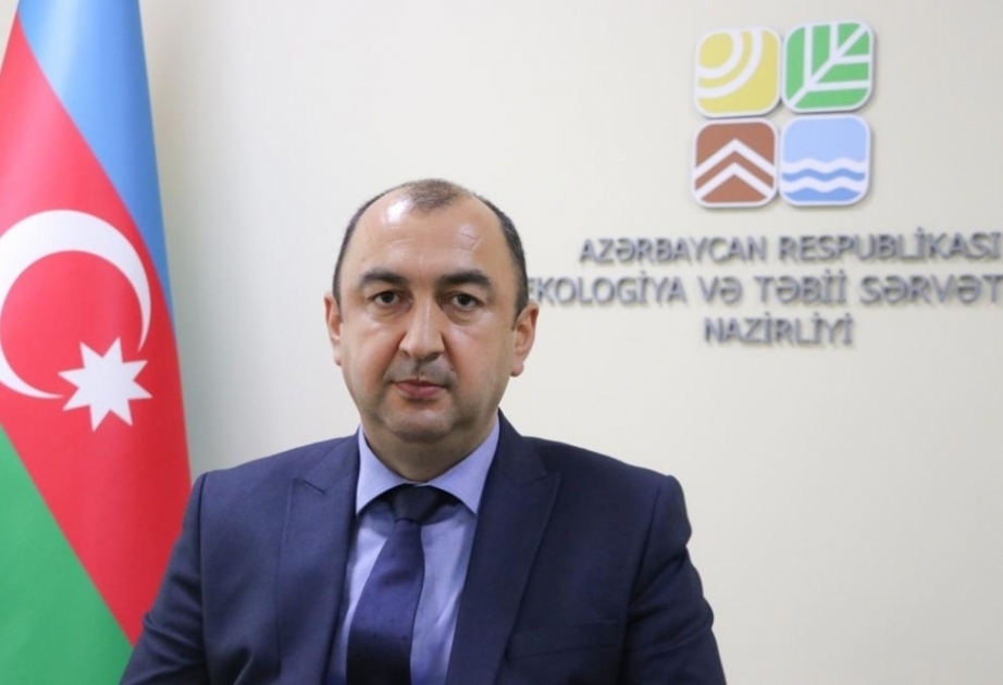 Устроенные армянами пожары являются еще одним подтверждением их враждебного отношения к природе