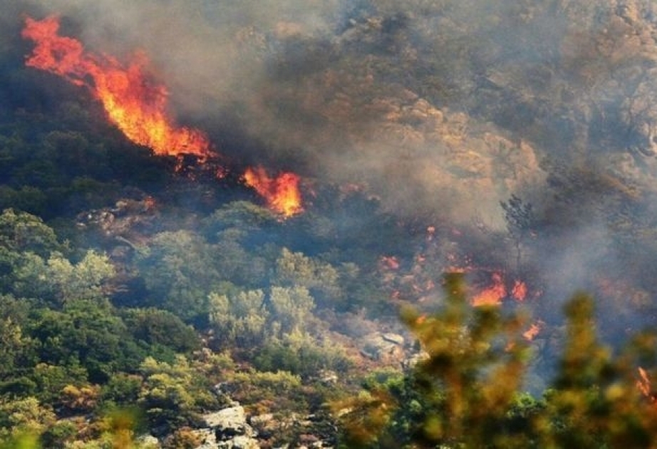 Los armenios provocaron un incendio en Karabaj