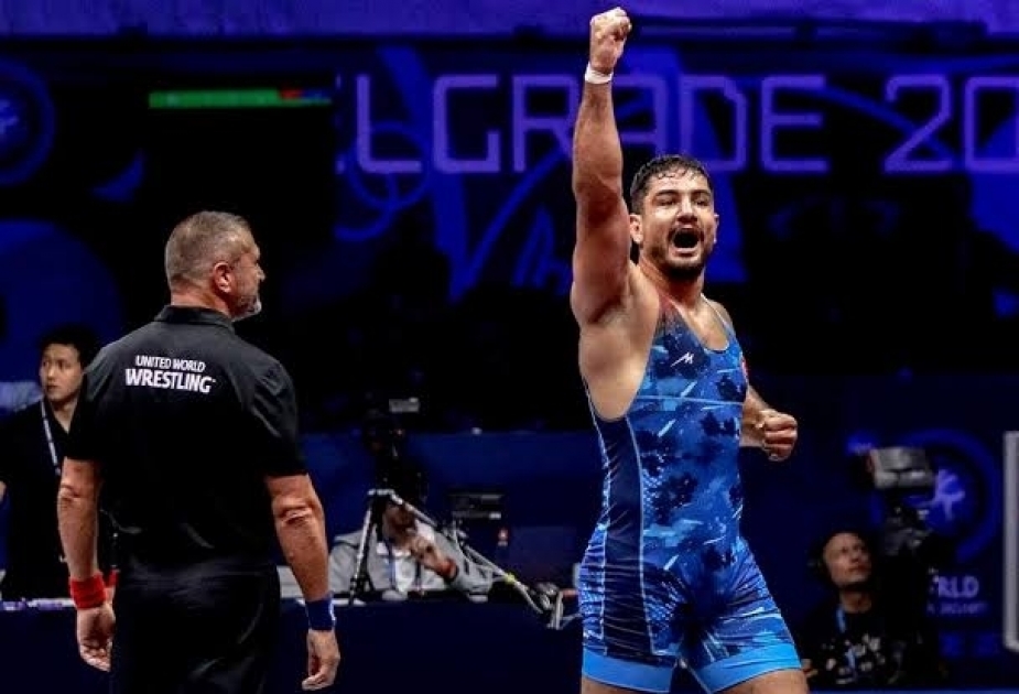 Turkish wrestler Akgul wins gold in world championships