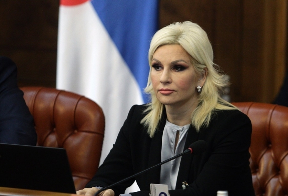 Minister: Serbien will elektrischen Strom aus Aserbaidschan importieren