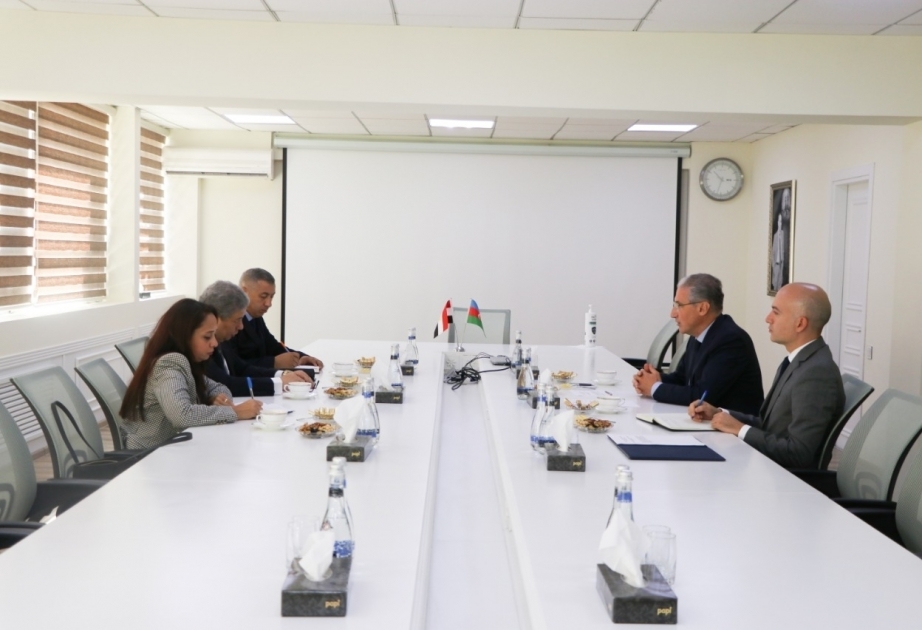 Azerbaiyán y Egipto discuten las perspectivas de cooperación en la protección del medio ambiente