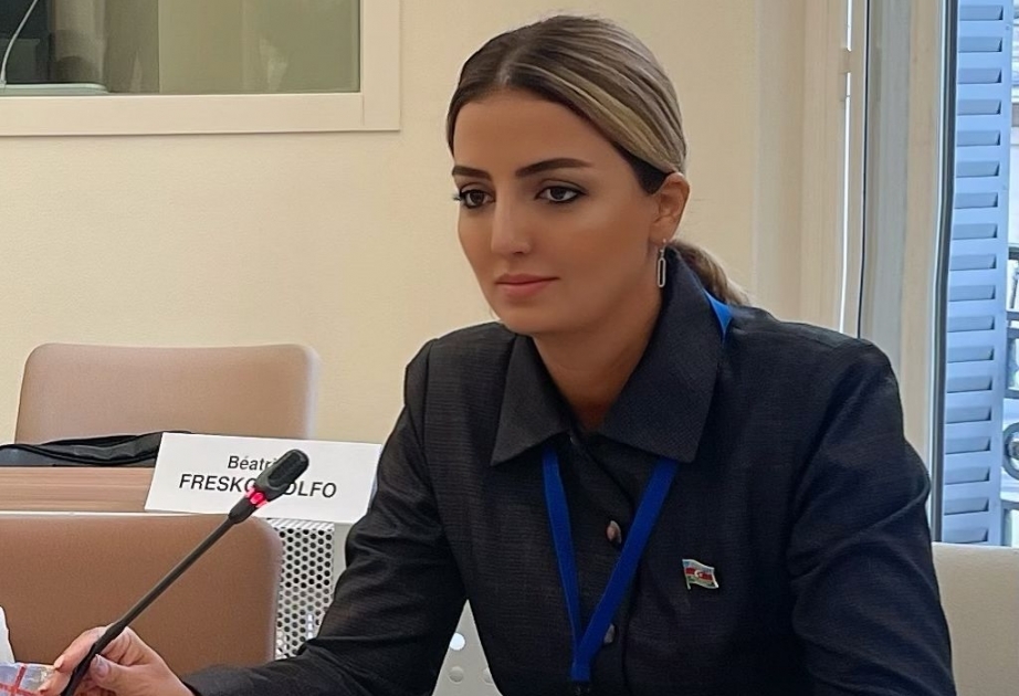AŞPA-nın komitə iclasında rəqəmsal uçurumun bağlanmasına dair Azərbaycanın təcrübəsindən bəhs olunub