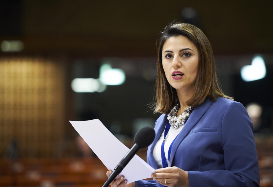 Milli Məclisin deputatı AŞPA-nın komitə iclasında iştirak edəcək