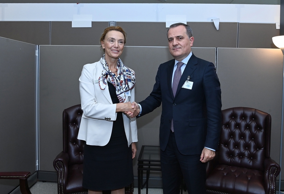 Azerbaijani FM meets with Secretary General of Council of Europe