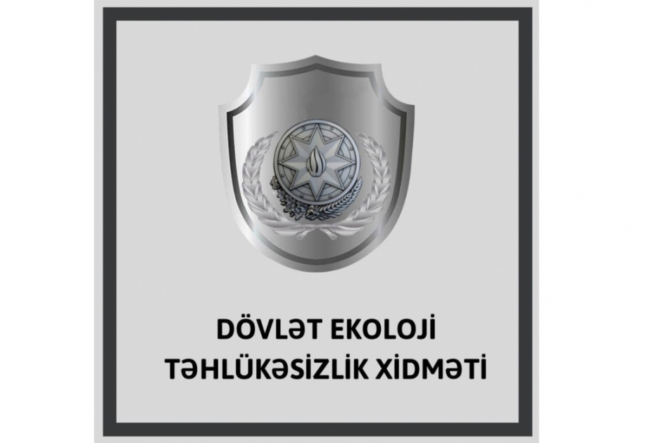 İki ağacın zədələnərək quruması faktı ilə bağlı toplanmış sənədlər Abşeron Rayon Məhkəməsinə göndərilib