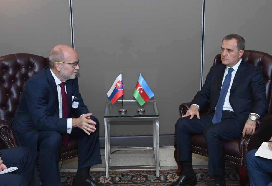 Azerbaijani FM informs Slovak counterpart on Armenia`s recent provocations