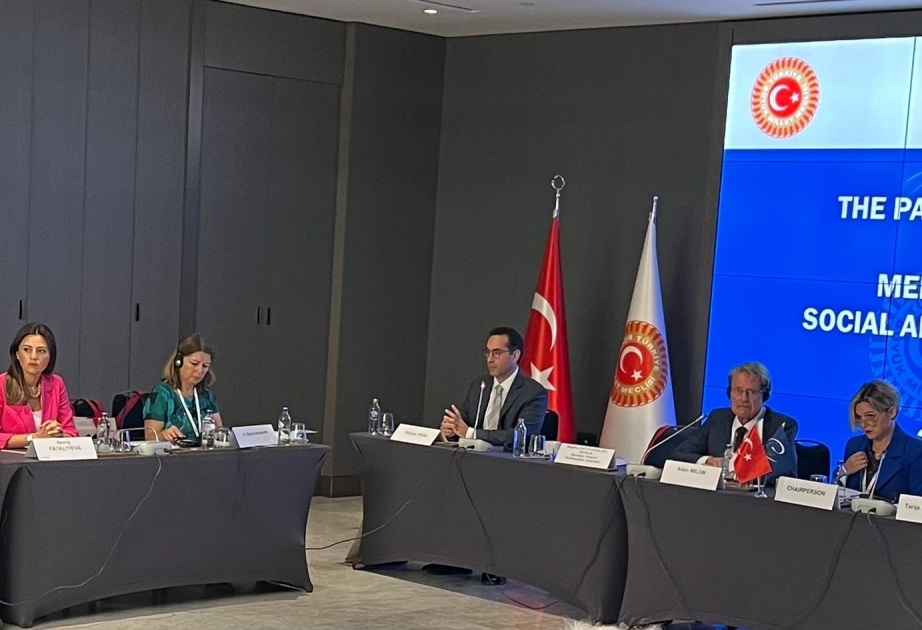 Milli Məclisin deputatı AŞPA-nın komitə iclasında iştirak edir