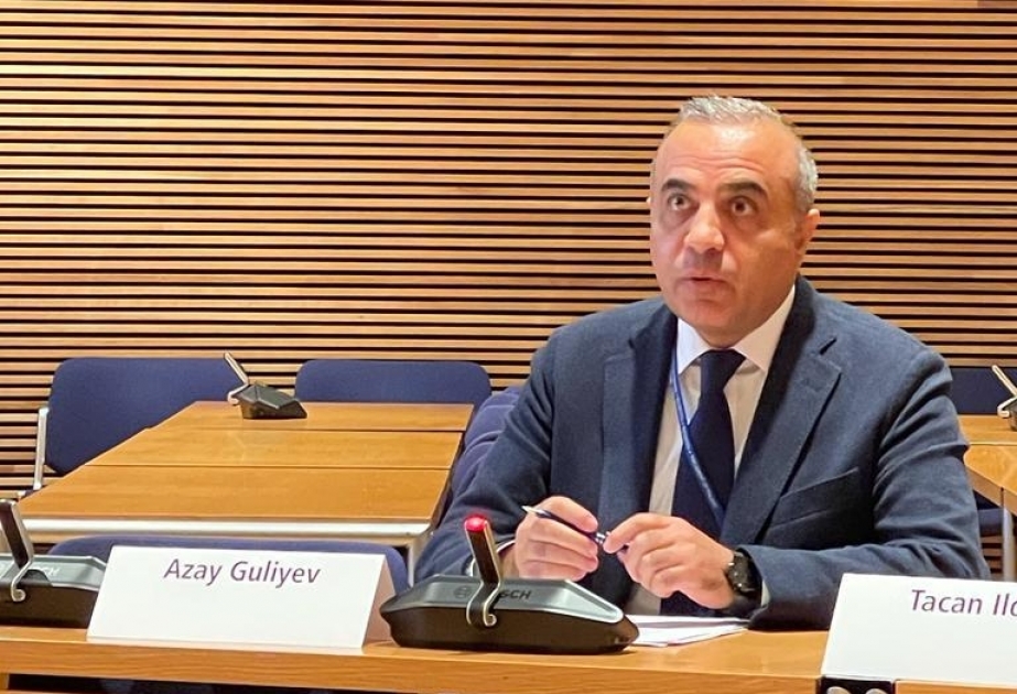 Milli Məclisin deputatı Helsinkidə keçirilən seminarda Ermənistanın sentyabr təxribatı barədə danışıb