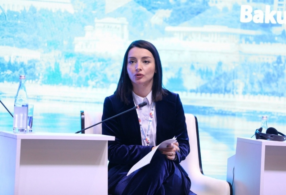 Leyla Abdullayeva: İran Sərhəd Mühafizəsi Orqanlarının bəyanatının Azərbaycan-İran dövlət sərhədinə heç bir aidiyyəti yoxdur