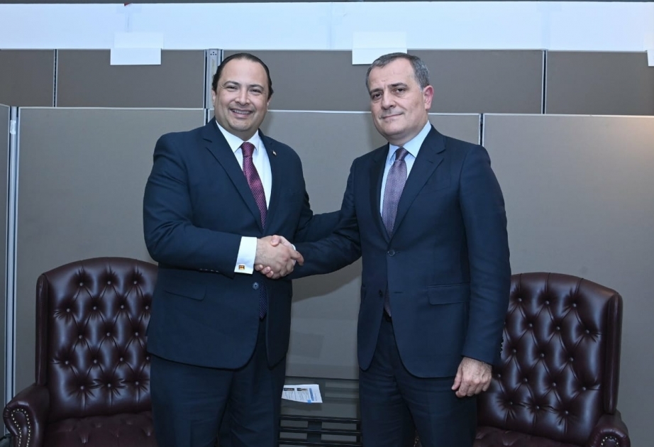 Azerbaijani FM: We had very productive discussions with Guatemalan counterpart