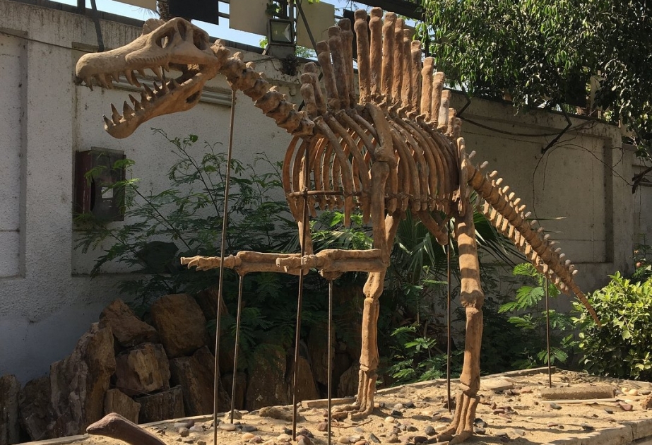 Egyptian Geology Museum - Africa's first geoscience center