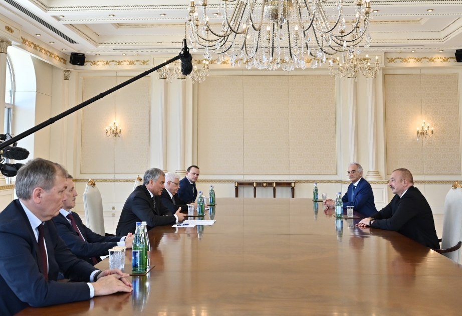 Präsident Ilham Aliyev empfängt Delegation um Vorsitzenden der russischen Staatsduma VIDEO