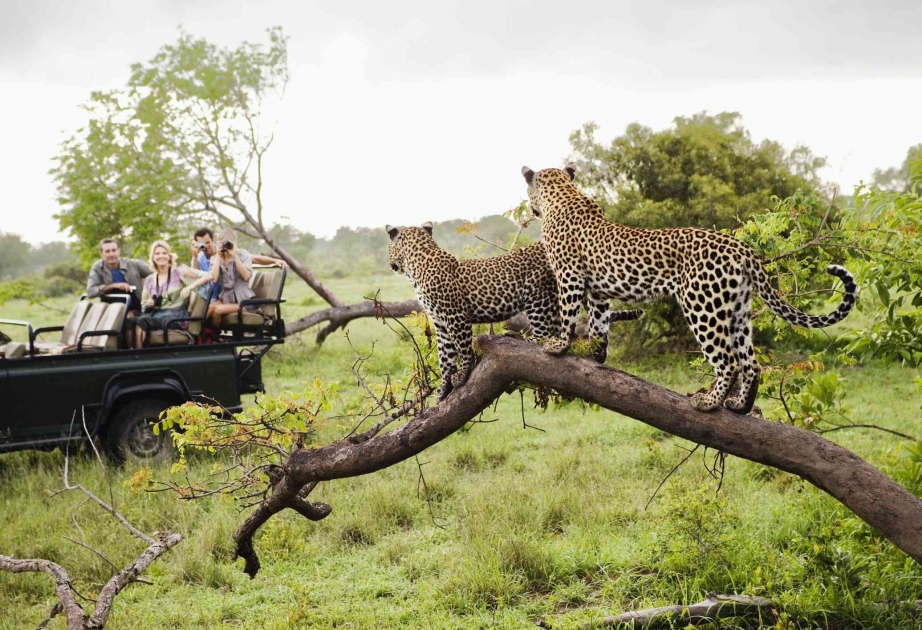 Kruger National Park - most exciting African safari destination
